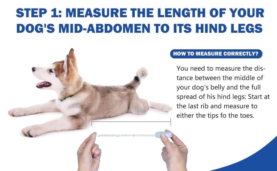 Adjustable Drag Bag for Paralyzed Dogs' Rear Legs - Comfortable Indoor Wheelchair Alternative for Disabled Pets (XL)