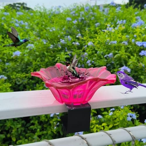 Rose Red Carbon Steel Plastic Bird Feeder Bowl with Adjustable Clamp