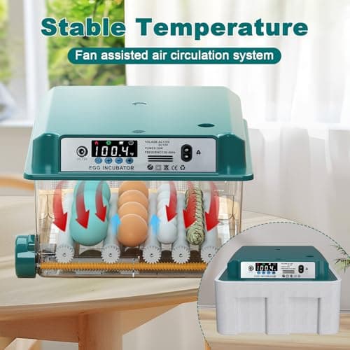 12-16 Egg Automatic Incubator for Chicken & Quail Eggs