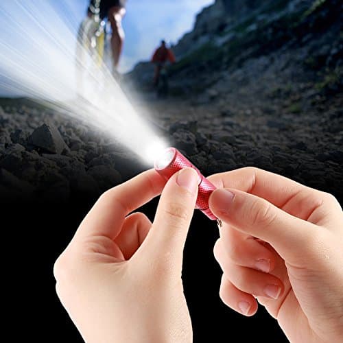 Zerodis Mini LED Keychain Flashlight, USB Rechargeable, 100 Lumens, Perfect for Reading, Dog Walking, Camping, Hiking