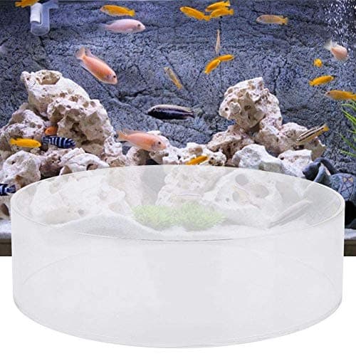 Coral Viewing Magnifier for Marine Aquarium Reef