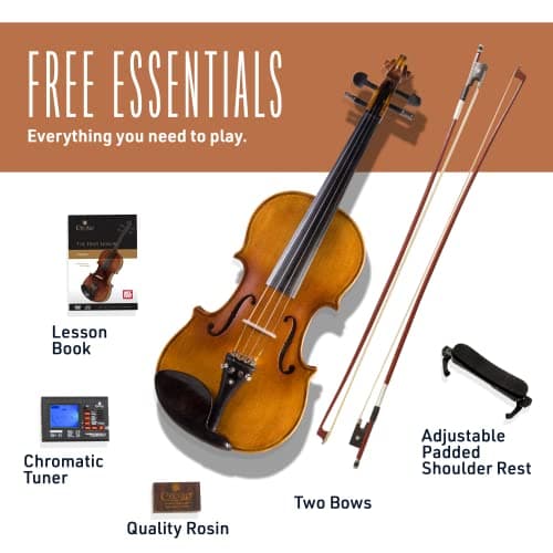 CVN-300 Solidwood Ebony 3/4 Size Violin with D'Addario Strings