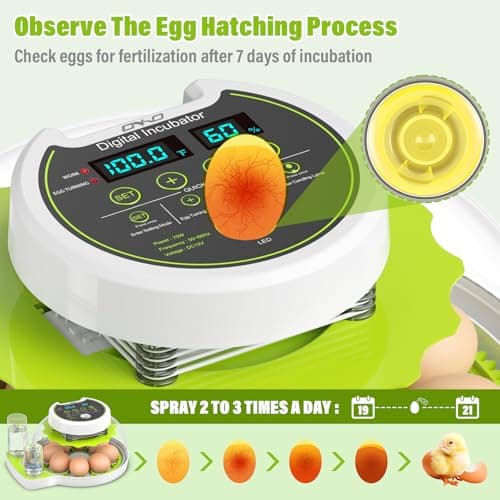 Automatic Egg Turner Chicken Incubator with Humidity Control, Holds 8 Eggs