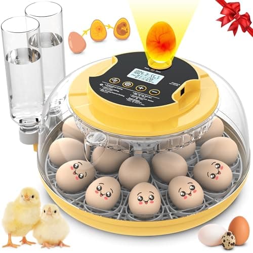 18-Egg Incubator with Auto Turning & Humidity Control, 360° View for Hatching Eggs