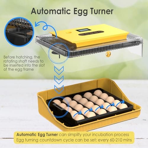 Egg Incubator for Hatching Quail, Chicken, Duck, Goose Eggs