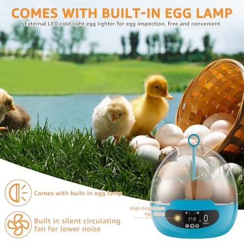 Automatic Egg Turning Poultry Incubator with Temperature Control