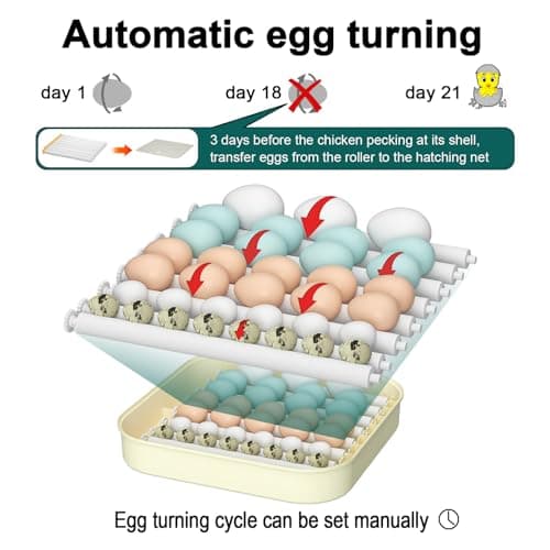 35 Egg Incubator with Automatic Turning & Humidity Control for Chickens, Quail, Ducks