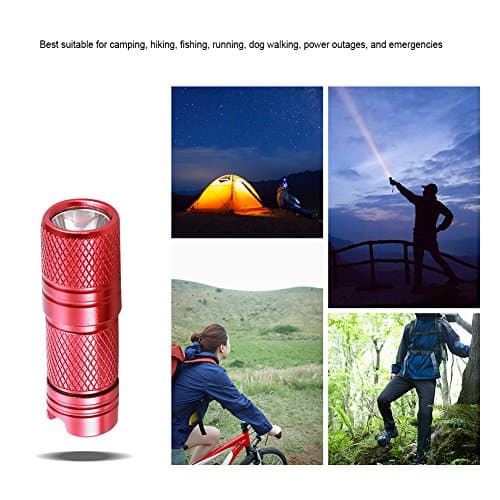 Zerodis Mini LED Keychain Flashlight, USB Rechargeable, 100 Lumens, Perfect for Reading, Dog Walking, Camping, Hiking