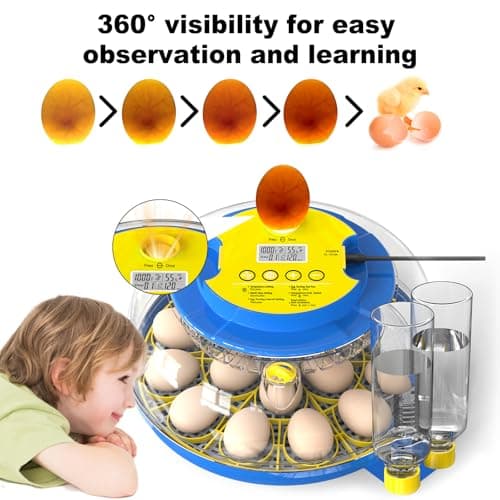 18-Egg Chicken, Quail, Duck, and Parrot Incubator with Automatic Turning and Humidity Control