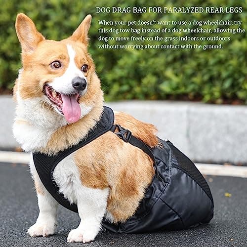 Disabled Pets Drag Bag for Back Legs | Black (X-Small)