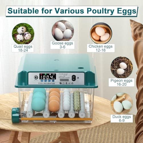 12-16 Egg Automatic Incubator for Chicken & Quail Eggs