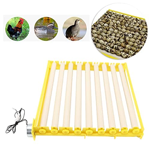Zerodis Hatching Machine, 110V 56 Small Home Automatic Intelligent Incubator for Chicken, Goose, and Bird Eggs