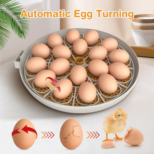 18-Egg Automatic Turning Incubator with Humidity Control and LED Display
