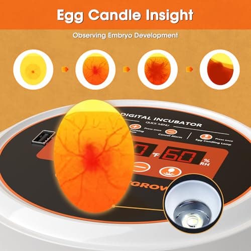Smart Incubator for Hatching Eggs with Automatic Turning and Humidity Control