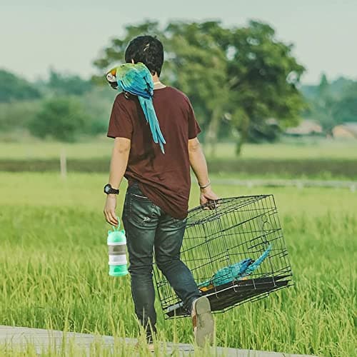 Portable Bird Water Cup No Mess Feeding Box for Parrots Cage Birds