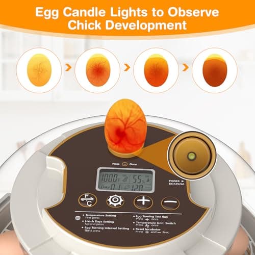 18-Egg Automatic Turning Incubator with Humidity Control and LED Display