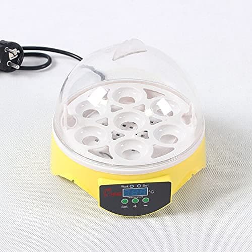 7-Egg 360° View Poultry Incubator, Temperature Controlled, Yellow, ZM003