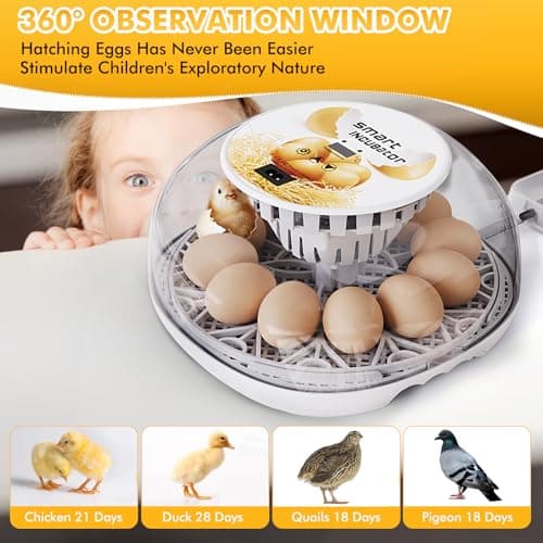 12-24 Egg Incubator with Automatic Flipping & Temperature Control