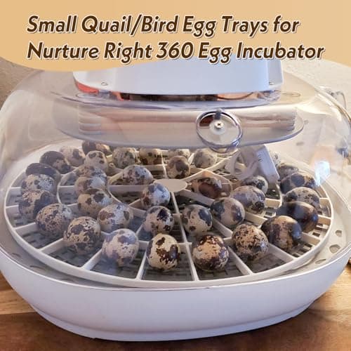 Nurture Right 360 Quail/Bird Egg Trays - Small, 48 Eggs
