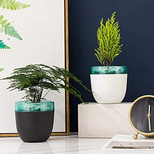 Self-Watering African Violet Pot, Double Layer Design, Black/White Mini Office Home Gardening