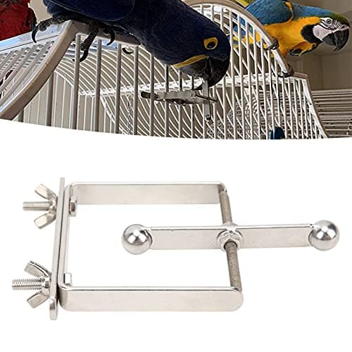 Zerodis Stainless Steel Bird Toy for Training and Chewing Intelligence Improvement