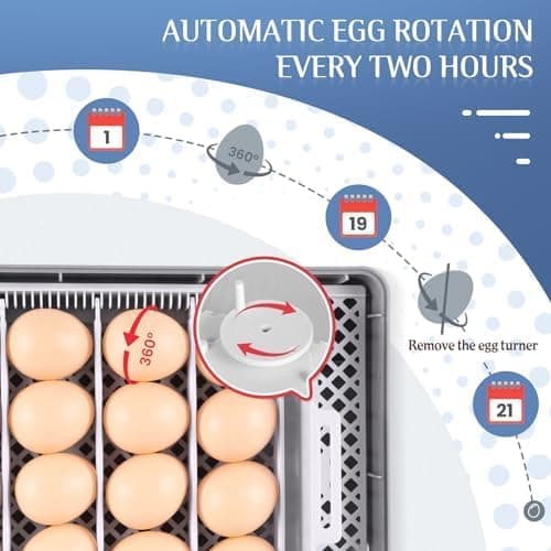 Sailnovo 20-Egg Incubator with Auto Turning, Temperature & Humidity Control