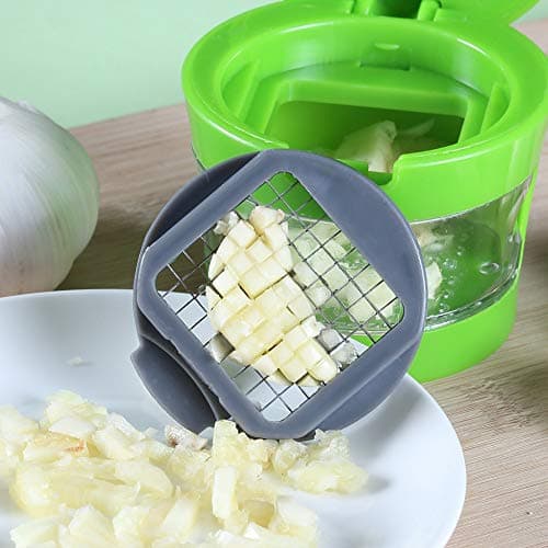 Mini Manual Garlic Chopper Press, Multi-Function Vegetable & Fruit Ginger Chopper for Kitchen Cutting