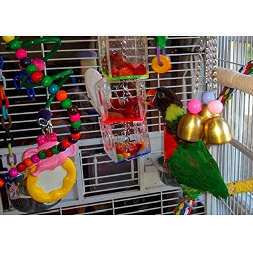 Parrot Foraging Ball & Swing Toy Feeding Kit