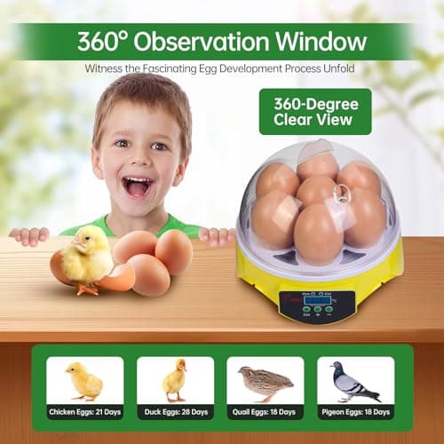 7-Egg Incubator with 360° View and Manual Temp Control for Hatching Eggs