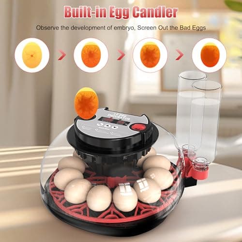 12 Egg Incubator with Temp Control, Humidity Display & Automatic Turner/Candler & Water Refill for Hatching
