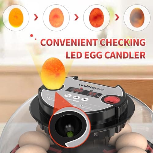12-Egg Automatic Turning Incubator with Humidity Control & 360° View Water Adder for Hatching Eggs