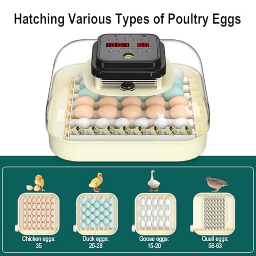 35 Egg Incubator with Automatic Turning & Humidity Control for Chickens, Quail, Ducks