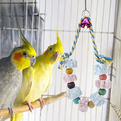Zerodis Colorful Hanging Foraging Toy for Cockatiels, Parakeets, and Lovebirds