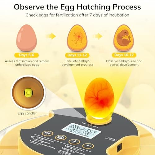 18-Egg Incubator with Auto Turning & Humidity Control, 360° View for Hatching Eggs