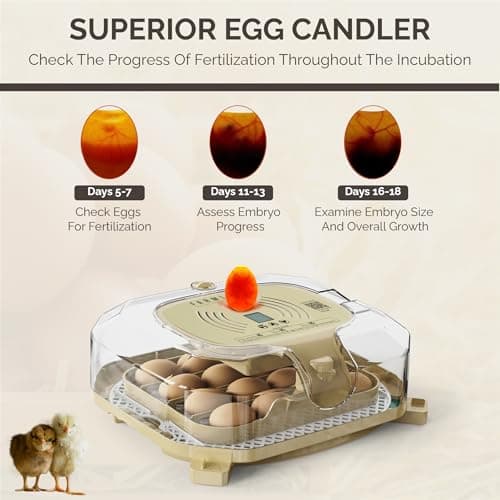 FarmLite Automatic Egg Turner Incubator | Updated 2025 | Chicken Hatching Egg Incubator