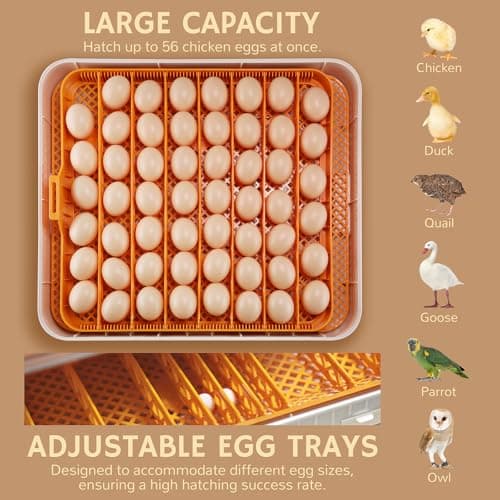Nestasy ProHatch56 Egg Incubator with Automatic Turning and Control