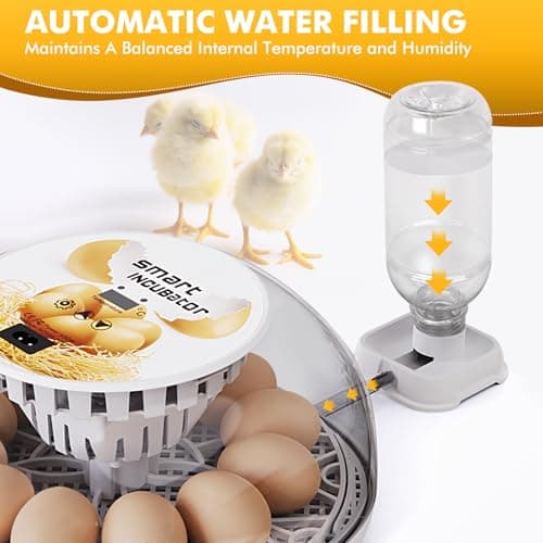 12-24 Egg Incubator with Automatic Flipping & Temperature Control