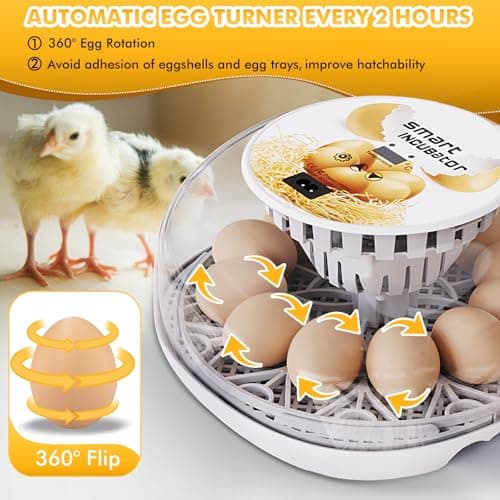 12-24 Egg Incubator with Automatic Flipping & Temperature Control