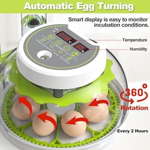 Automatic Egg Turning Incubator for Hatching Chicks, Ducks, and More