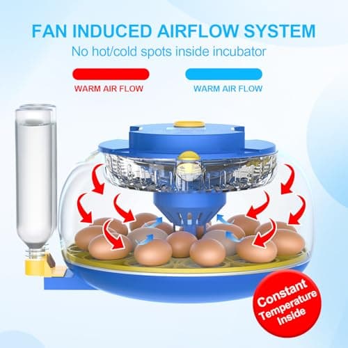 18 Egg Incubators with Automatic Turning & Temperature Control