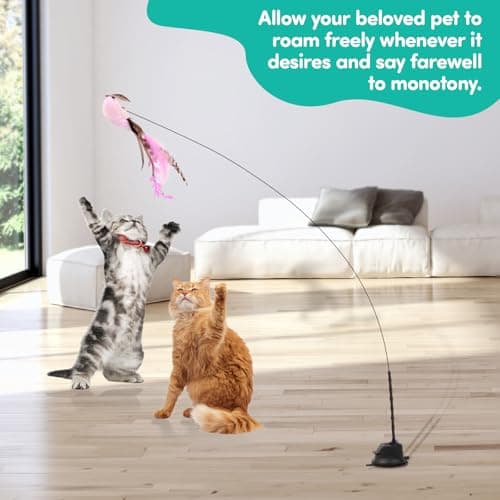 Engaging Cat Toy for Indoor Adult Cats