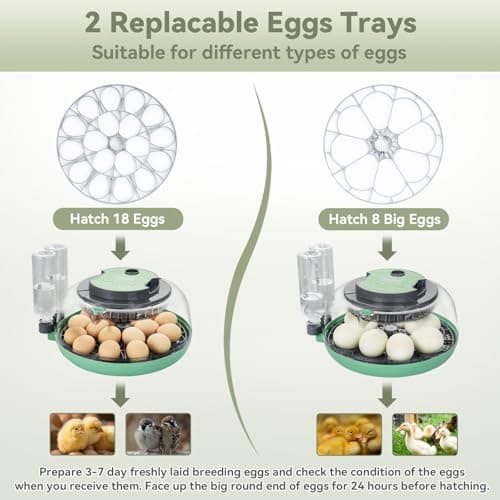 InIcubator 18 Egg Incubator with Auto Turning & Humidity Control - 360° Clear View for Hatching