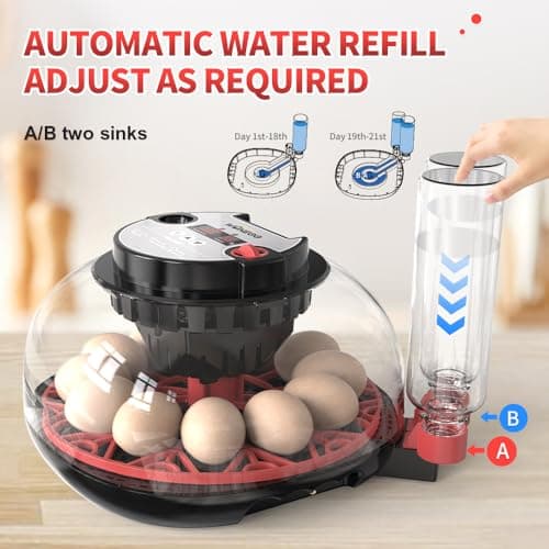 12-Egg Automatic Turning Incubator with Humidity Control & 360° View Water Adder for Hatching Eggs