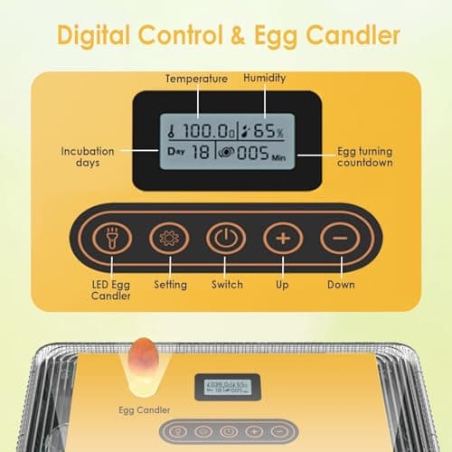 Egg Incubator for Hatching Quail, Chicken, Duck, Goose Eggs