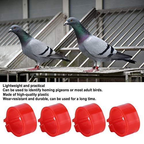 200pcs 10mm Leg Bands for Identifying Homing Pigeons and Adult Birds