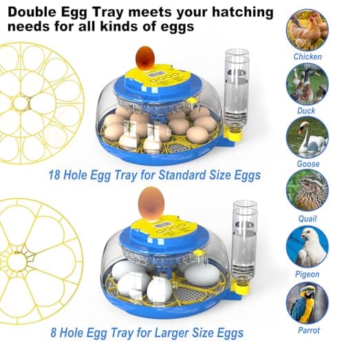 18-Egg Chicken, Quail, Duck, and Parrot Incubator with Automatic Turning and Humidity Control