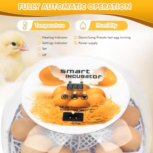 12-24 Egg Incubator with Automatic Flipping & Temperature Control
