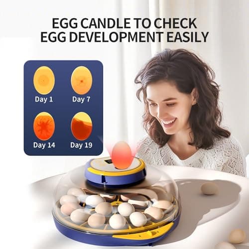 21-Egg Incubator with Temperature & Humidity Control, Automatic Turning, Blue