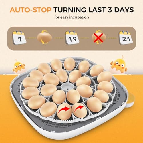 Sailnovo 24 Egg Incubators with Automatic Turning & Humidity Display - Grey
