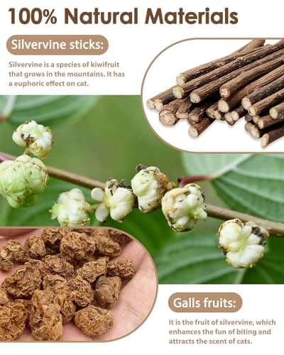 Tocirelo Silvervine Chew Sticks for Cats - 6 Pack Natural Dental Care Toy for Indoor Kittens